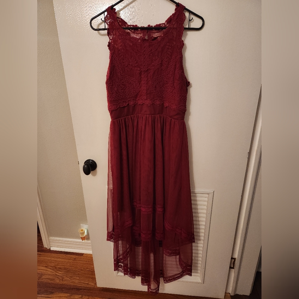 Francesca's Hi Lo Lace Tulle dress - Picture 1 of 3